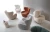 calvio-aranzacja-2.webp