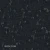 BOSCO-99.webp