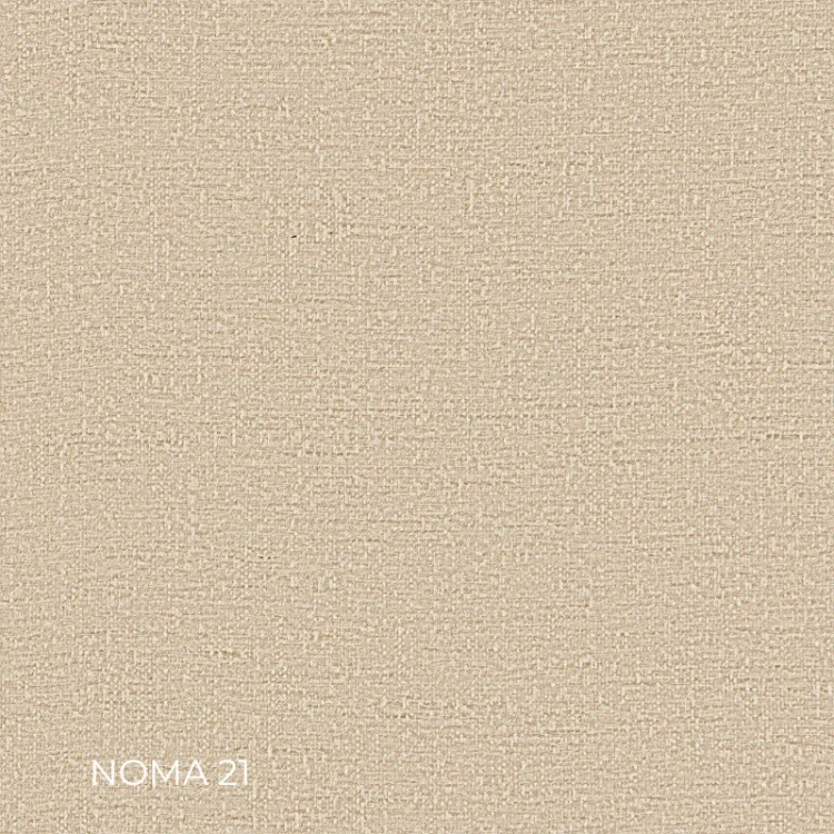 NOMA-21.webp