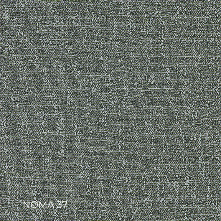 NOMA-37.webp