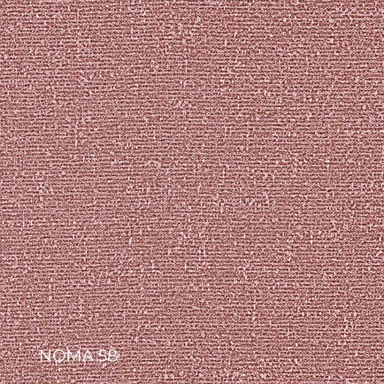 NOMA-58.webp