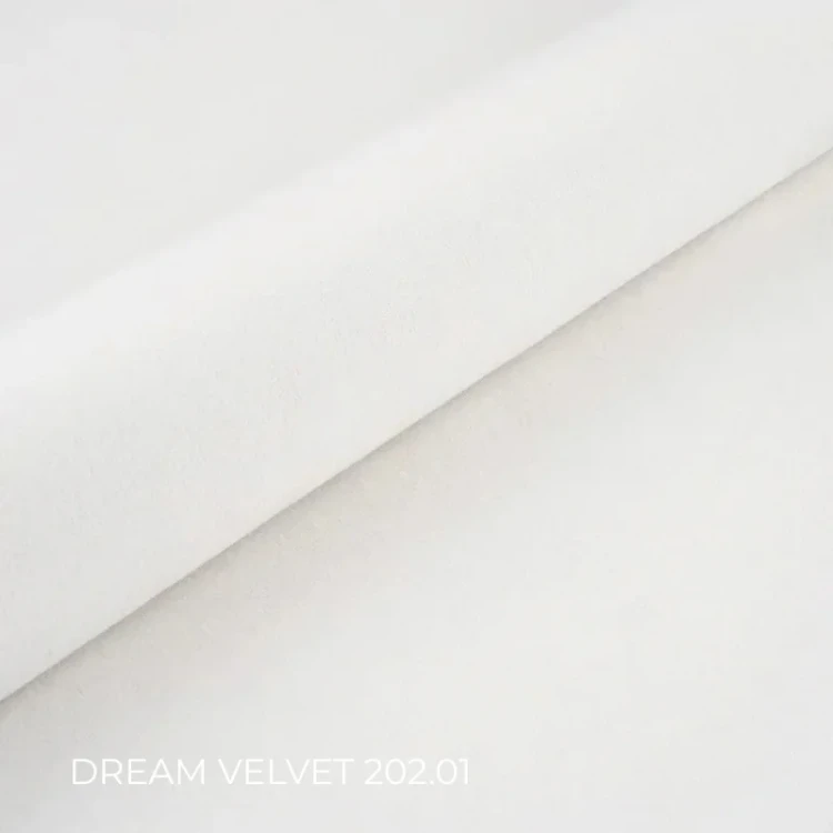 DREAM_VELVET_202.01.webp