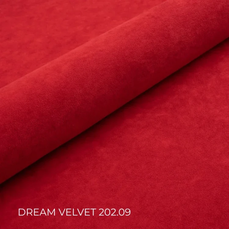 DREAM_VELVET_202.09.webp