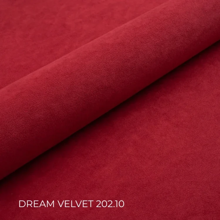 DREAM_VELVET_202.10.webp