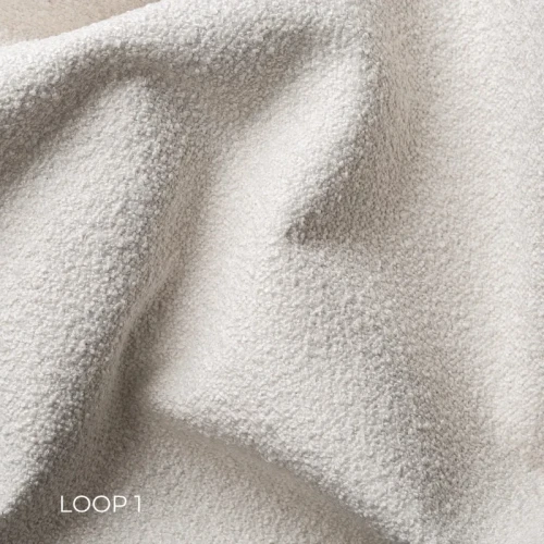 LOOP-1.webp