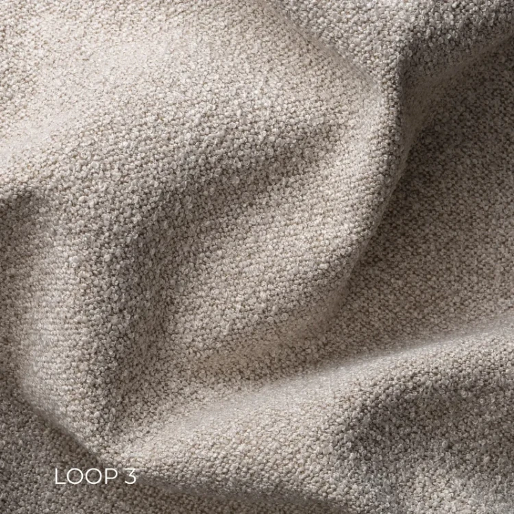 LOOP-3.webp