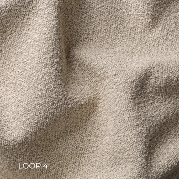 LOOP-4.webp