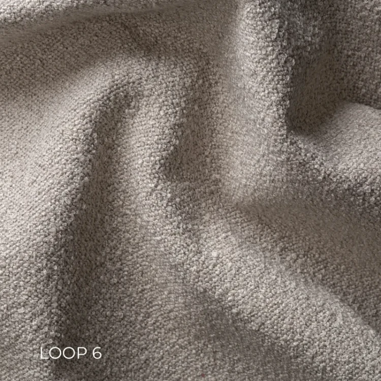 LOOP-6.webp