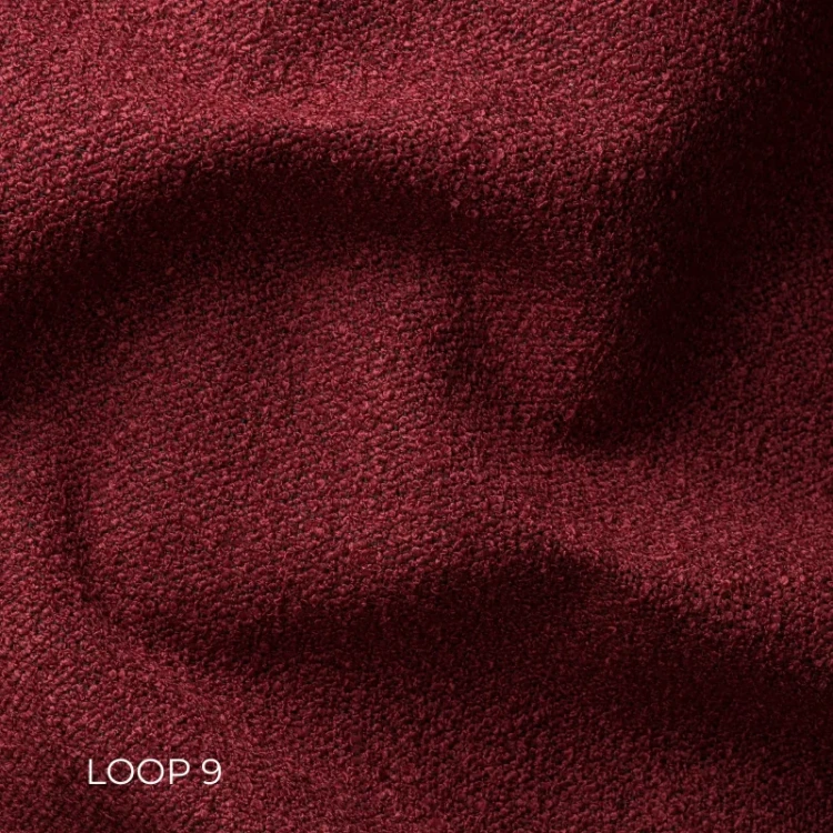 LOOP-9.webp