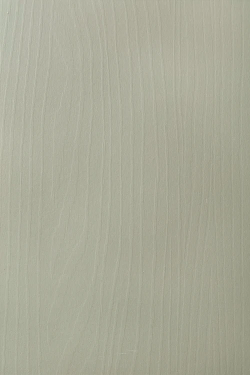detal-eukaliptus-flora-kolekcja-flora.webp